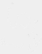 Bootable Scooter Category Card